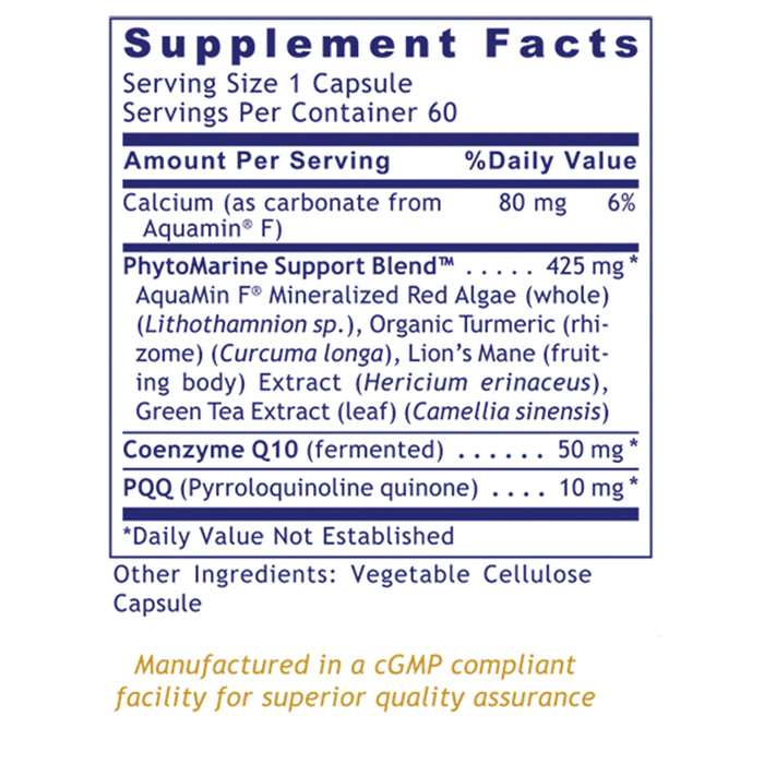 PQQ Complex with CoQ10  Dietary Supplement Premier Antioxidant, Nerve and Cognitive Support